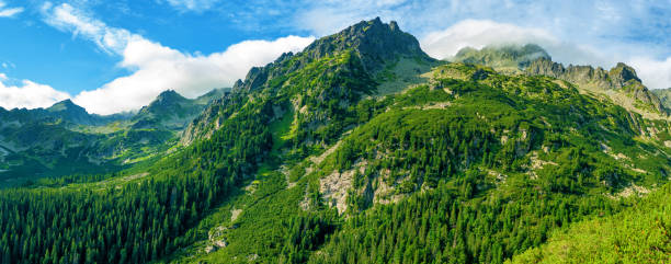 istock Mountain High Tatras National Park 1175551013