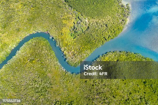 istock Mangrove River Delta, Queensland, Australia 1175553736