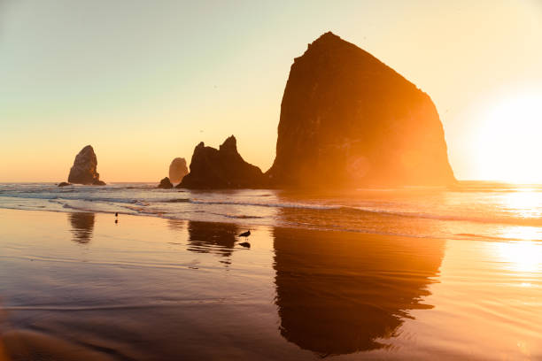 istock Sunset Landscape of Haystack Rock at Cannon Beach Oregon 1175554270