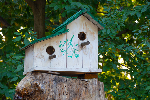 Wooden birdhouse on the tree in public park, close up