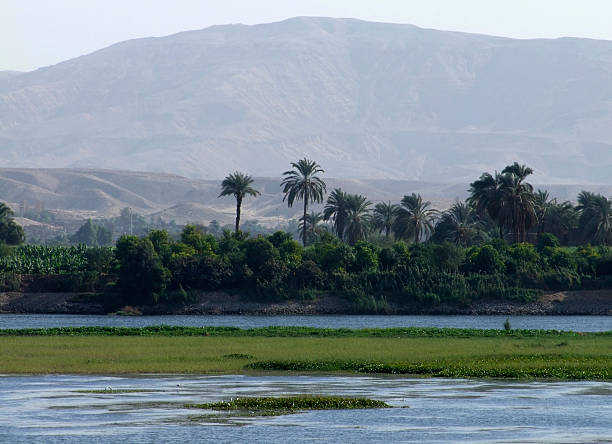 istock egyptian Nile coast scenery 117555771