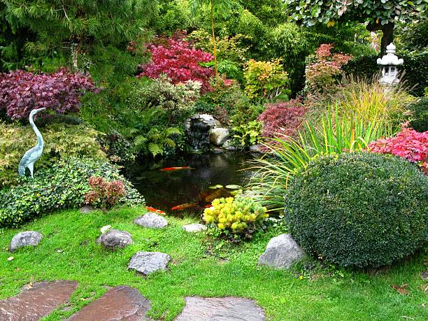 istock Japanese garden with koi-ponds 117556375