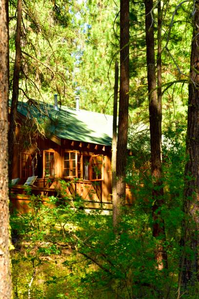 Cabin In The Woods stock photo