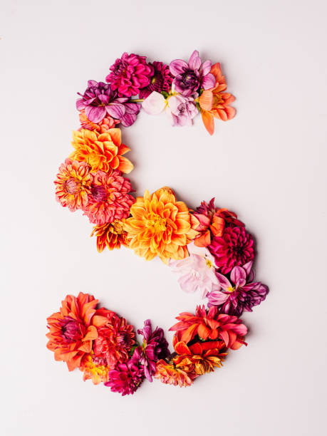 istock Flower alphabet series Letter S 1175568835