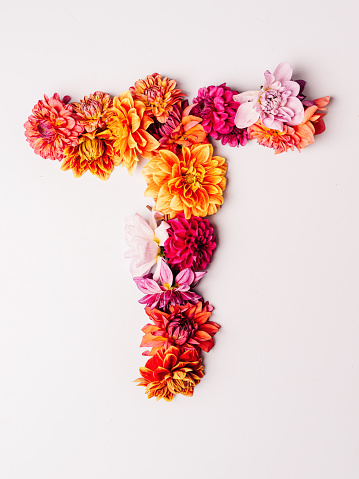 Flower Alphabet Series Letter T Stock Photo - Download Image Now - Letter T, Alphabet, Arrangement - iStock Flower Alphabet Series Letter T Stock Photo - Download Image Now - Letter T, Alphabet, Arrangement - iStock