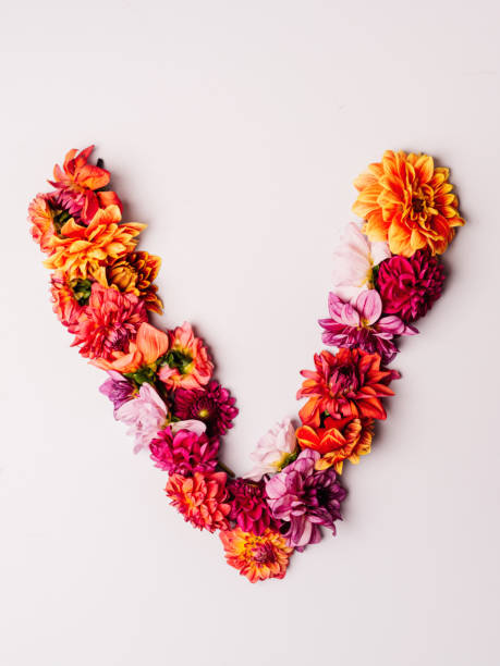 istock Flower alphabet series Letter V 1175568920