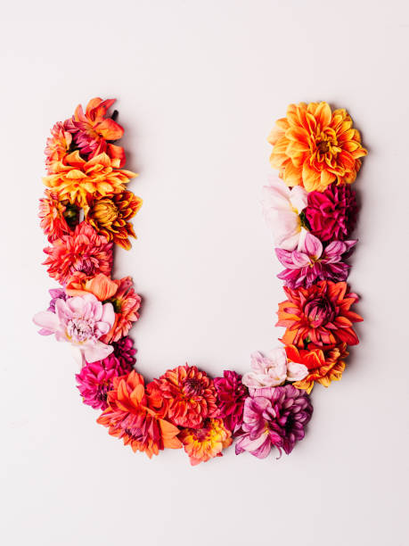 Flower alphabet series Letter U