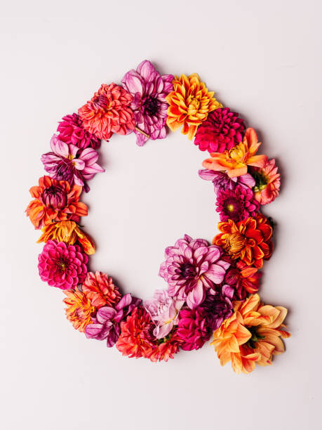 istock Flower alphabet series Letter Q 1175568937