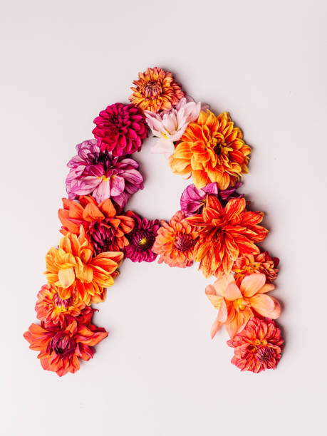 istock Flower alphabet series Letter A 1175570737