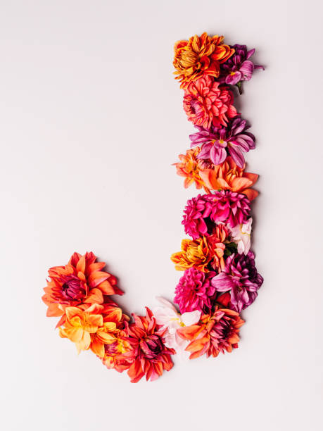 istock Flower alphabet series Letter J 1175570801