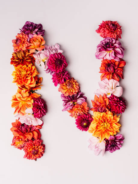 istock Flower alphabet series Letter N 1175570806