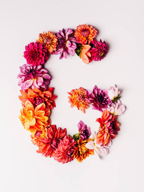 istock Flower alphabet series Letter G 1175570808