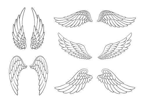 Set of hand drawn bird or angel wings of different shape in open position. Contoured doodle wings set isolated on white background.