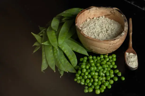 Pea protein powder is pictured in a wooden bowl, and in a wooden spoon from a side view. Next to them is a pile of snow peas and snap peas.