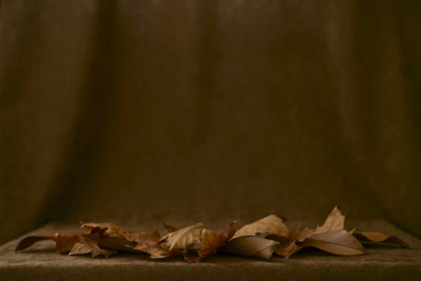 Shoes on a pile of leaves, placed on a wooden floor. Autumn feelings background.