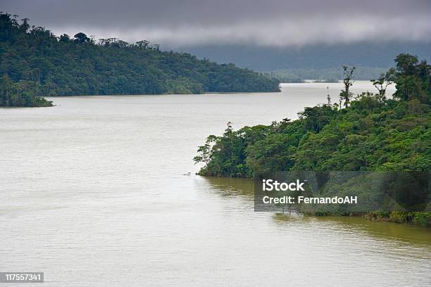 Panama180s Rainforest Stock Photo - Download Image Now - Central America, Cloudscape, Color Image