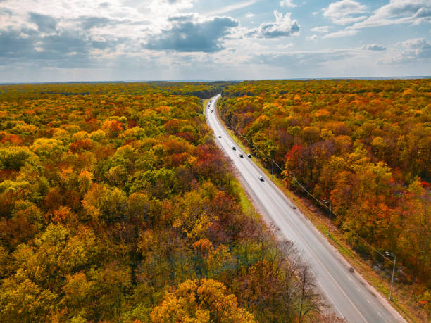 istock Road in autumn forest, cloudy sky, aerial view 1175580666