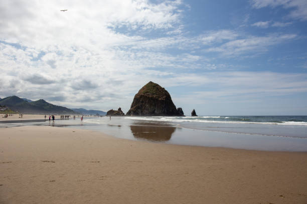istock Cannon Beach, Oregon coast: the famous Haystack Rock reflects itself in the water 1175583650