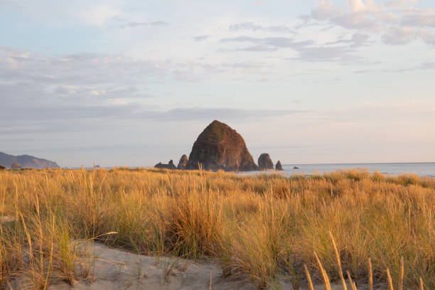 istock Cannon Beach, Oregon coast: the famous Haystack Rock in the golden light before sunset 1175583851