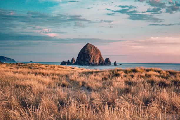 The famous Haystack Rock in the golden light before sunset Cannon Beach, Oregon coast