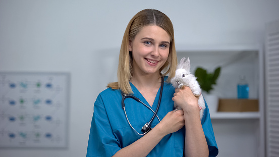 Cheerful female veterinarian holding bunny, timely pet healthcare examination