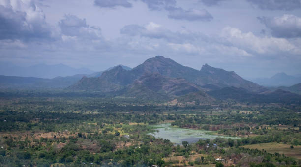 istock Landscape forest and mountain aerial view form Sigiriya rock, Sri Lanka, panoramic view, 1175587609