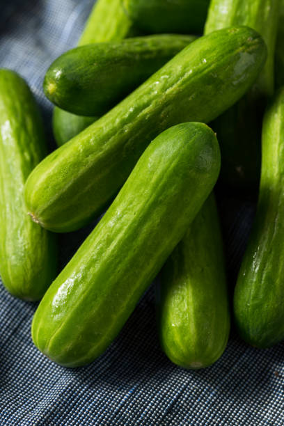 istock Raw Green Organic Mini Cocktail Cucumbers 1175588109