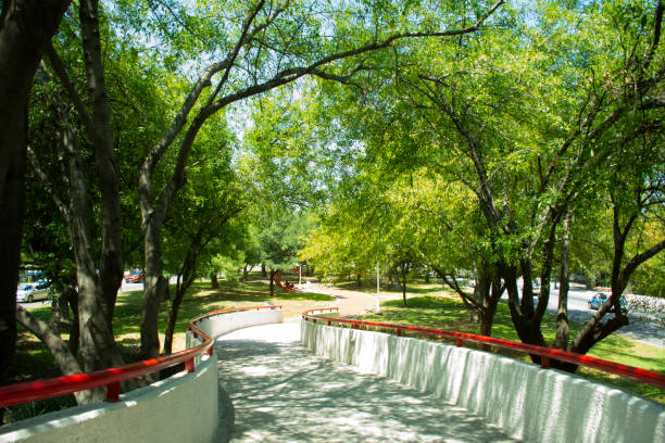istock Green tree road in Calzada San Pedro 1175588823