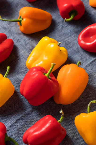 istock Raw Colorful Mini Bell Peppers 1175588892