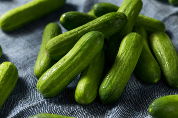 istock Raw Green Organic Mini Cocktail Cucumbers 1175588955