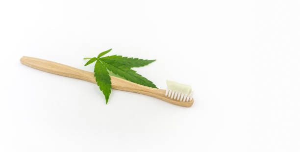 istock Cannabis CBD toothpaste with Cannabis leafs and wooden toothbrush 1175589838