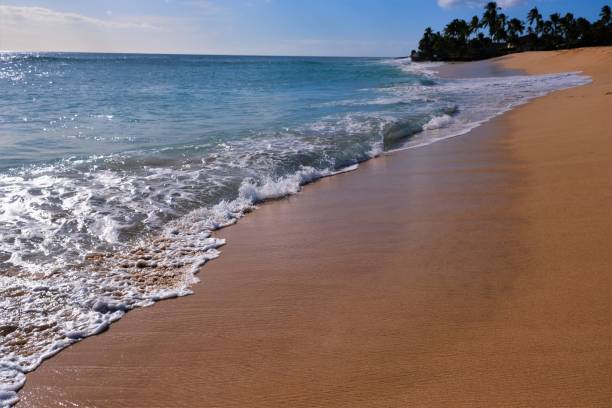 istock Sunny day at Papaoneone Beach, Oahu, Hawaii 1175589961