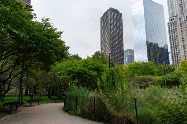 istock Streeterville Chicago Park with Skyscrapers 1175599984