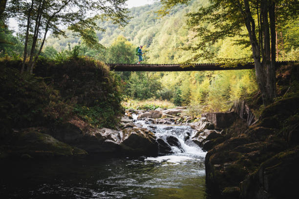 Views at Watkins Glen State Park, New York