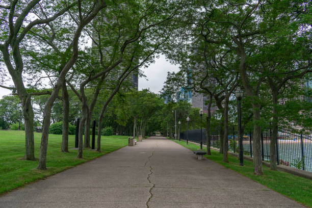 istock Empty Path at Olive Park in Streeterville Chicago 1175602992
