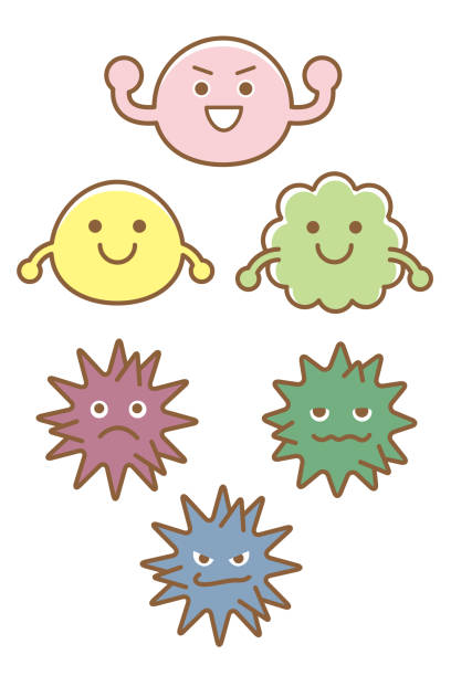 Good bacteria, bad bacteria, opportunistic bacteria set Good bacteria, bad bacteria, opportunistic bacteria set biological cell illustrations stock illustrations