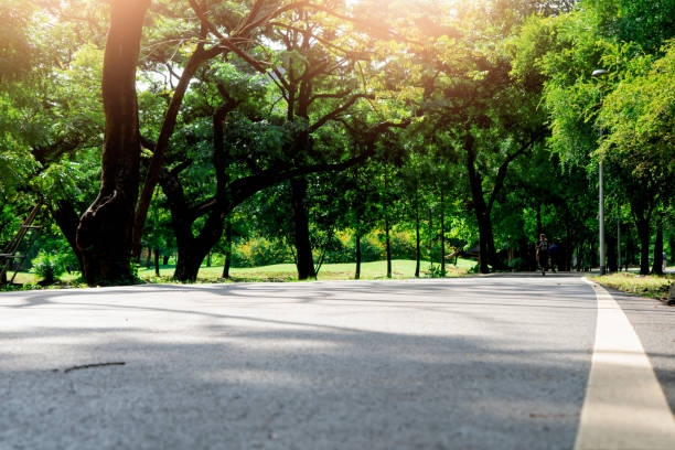 istock White line on road at public park 1175613347