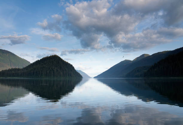 istock Cloud and mountain reflections in Southeast Alaska 1175613354
