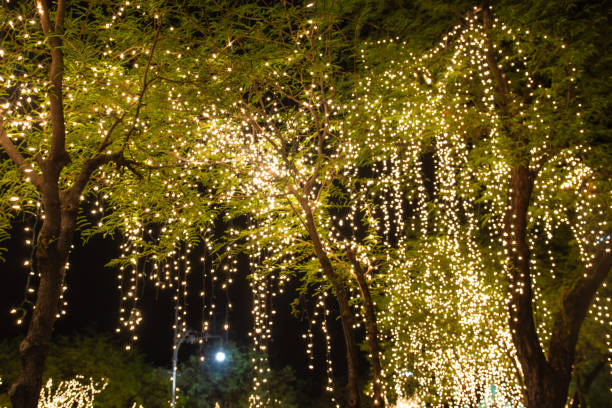 istock Decorative outdoor string lights hanging on tree in the garden at night time 1175616770