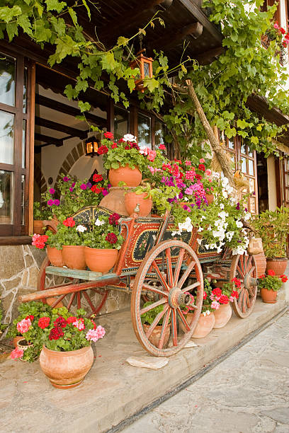 istock Ox Cart with Flowers 117561779