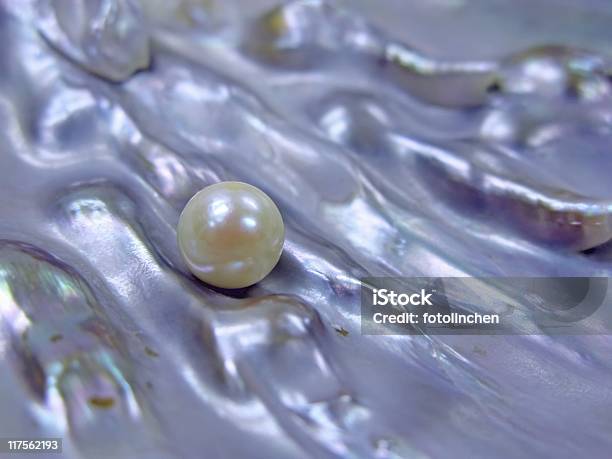 Pearl - Fotografias de stock e mais imagens de Pérola - Ostra - Pérola - Ostra, Mexilhão, Madrepérola