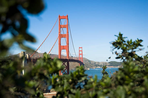 Framed Golden Gate Bridge stock photo
