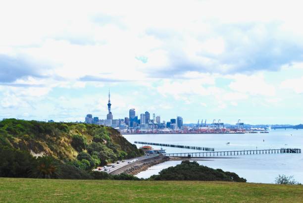 istock Auckland skyline 1175629747