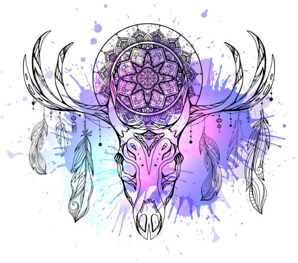 mystische illustration von hirschschädel mit federn, mandala und neon aquarell flecken. das objekt ist vom hintergrund getrennt. vektor-boho-bild - 5087 stock-grafiken, -clipart, -cartoons und -symbole