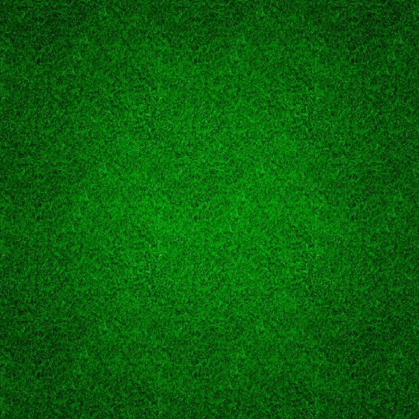 istock Top view of green grass texture background pattern. 1175633422