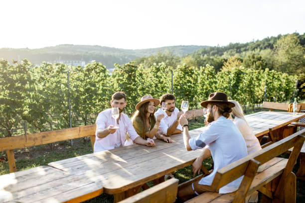 istock Friends drinking wine at the dining table on the vineyard 1175638339