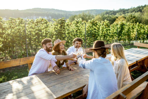 Friends drinking wine at the dining table on the vineyard Group of a young people drinking wine and talking together while sitting at the dining table outdoors on the vineyard on a sunny evening winery stock pictures, royalty-free photos & images