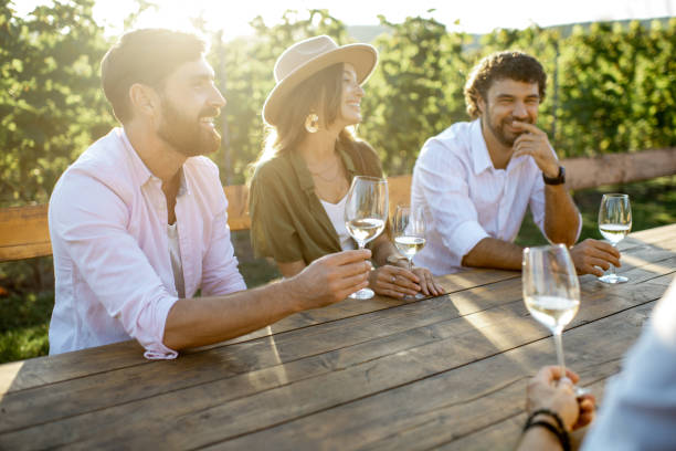 istock Friends drinking wine at the dining table on the vineyard 1175638390