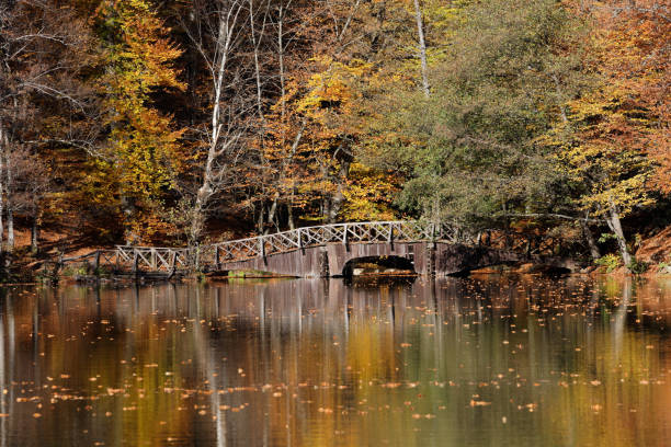 istock lake and autumn landscape 1175638444