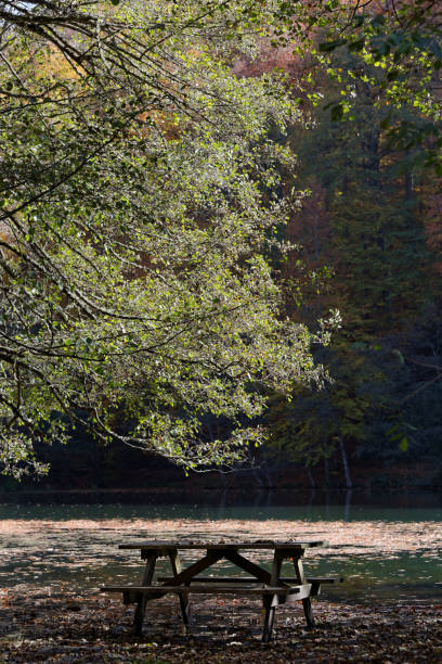 istock lake and autumn landscape 1175638564